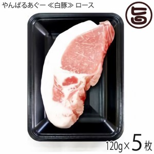 フレッシュミートがなは やんばるあぐー 白豚 ロース ステーキ用 120g×5枚 沖縄 土産 アグー 貴重 肉