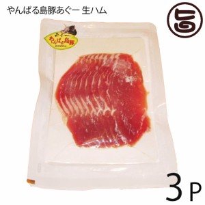 フレッシュミートがなは やんばる島豚あぐー ≪黒豚≫ 生ハム 100g×3P 沖縄