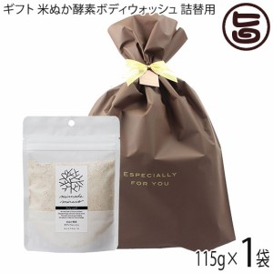 ギフト 米ぬか酵素ボディウォッシュ詰替用 115g×1袋 みんなで未来を 100％無添加 オーガニック 天然 酵素 米糠
