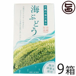 グローアップコーポレーションF 海ぶどう 120g×9箱 海洋深層水使用 海藻 うみぶどう 沖縄 土産 定番 人気