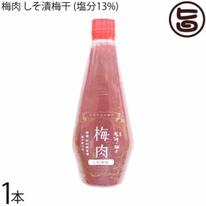 濱田 梅肉 しそ漬梅干 (塩分13%) 340g×1本 紀州産 赤しそ 和歌山 梅肉ペースト クエン酸