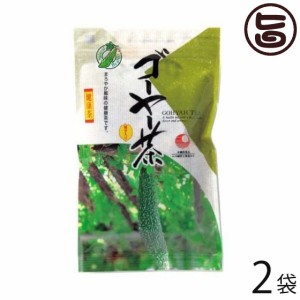 比嘉製茶 ゴーヤー茶 20g×2袋 沖縄 人気 定番 土産 健康茶 にがうり リノレン酸がたっぷり