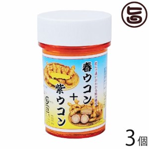 春ウコン+紫ウコン粉 100g×3個 比嘉製茶 精油成分豊富な春ウコンと紫ウコンをブレンドしたサプリ