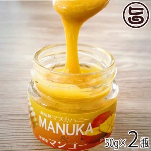 Honey Fusion マヌカハニー＆マンゴー 50g×2瓶 沖縄県優良県産品 受賞