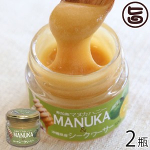 ハニーフュージョン マヌカハニー＆シークワーサー 50g×2瓶 沖縄県優良県産品 受賞