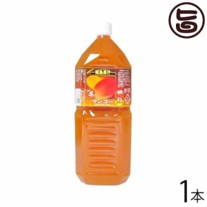 北琉興産 南島果汁 マンゴー 2L(5倍濃縮)×1本 果実飲料 希釈 フルーツジュース ビタミン ミネラル豊富