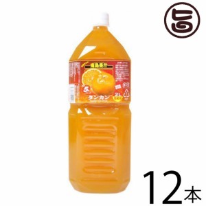 北琉興産 南島果汁 タンカン 2L(5倍濃縮)×12本 沖縄 土産 南国フルーツ 柑橘系 ドリンク ヘスペリジン(ビタミンP)