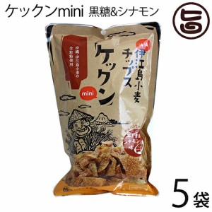 いえじま家族 ケックンmini 黒糖&シナモン 60g×5袋 沖縄伊江島小麦チップス ほんのり甘い！