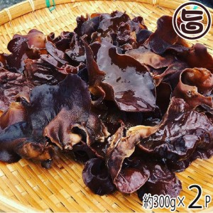 愛媛県産 高級生きくらげ 天使のききみみ 黒 300g×2P 愛媛 土産 純国産・農薬不使用 食材