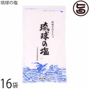 黒糖本舗垣乃花 琉球の塩 450g (大) ×16P 沖縄 土産 人気 調味料 しお 料理の味を引き立てるまろやかなお塩