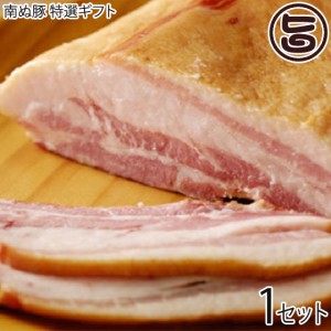 ギフト 南ぬ豚 特選ギフト (手揉みベーコン) ×2セット 沖縄 国産 人気 肉