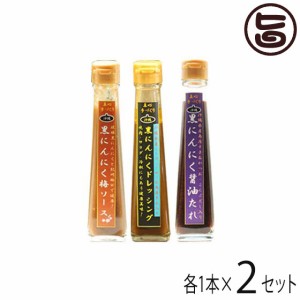 黒にんにく調味料3種セット(ドレッシング、醤油たれ、梅ソース)×各2本 沖縄