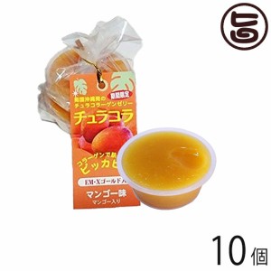 リリーフーズ チュラコラ (コラーゲンゼリー) マンゴー味 10個セット (2個入り×5袋) 沖縄 土産 無着色