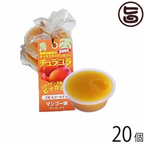 リリーフーズ チュラコラ (コラーゲンゼリー) マンゴー味 20個セット (2個入り×10袋) 沖縄 土産 無着色