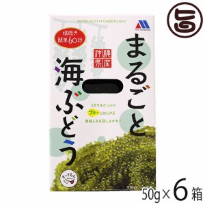 メックインターナショナル まるごと 海ぶどう 50g×6箱 沖縄県産 ぷちぷち 海藻 塩抜き簡単60秒 人気 定番 土産