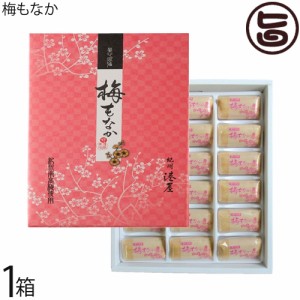 梅もなか 18個入り×1箱 港屋 老舗和菓子屋のスイーツ 和歌山 土産 和菓子 モナカ 最中