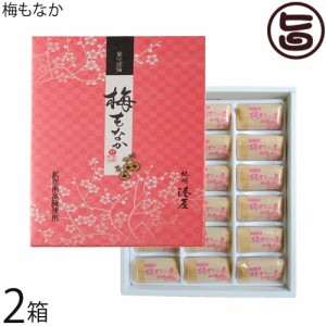 梅もなか 18個入り×2箱 港屋 老舗和菓子屋のスイーツ 和歌山 土産 和菓子 モナカ 最中