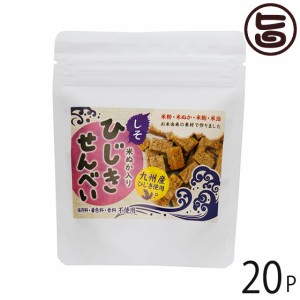 まろうど酒造 ひじきせんべい しそ味 40g×20P 宮崎県 人気 定番 土産 ひじき 米ぬか 栄養強化おやつ