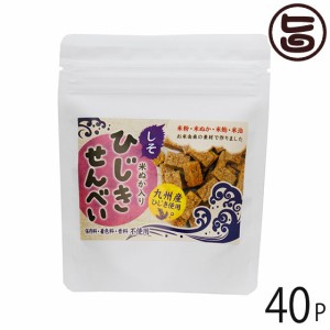 まろうど酒造 ひじきせんべい しそ味 40g×40P 宮崎県 人気 定番 土産 ひじき 米ぬか 栄養強化おやつ