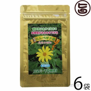 ニトベギク茶 葉部 1g×10包×6P 沖縄 お土産 沖縄土産 健康茶 薬草茶 ティーパック 手作り 無添加 無農薬 菊芋茶 60日分