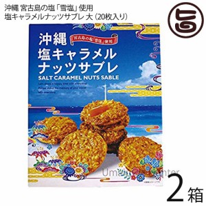 南風堂 塩キャラメルナッツサブレ 大 ×2箱