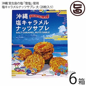 南風堂 塩キャラメルナッツサブレ 大 ×6箱