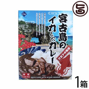 宮古島の泡盛を入れたイカしたカレー 180g×1箱 沖縄 土産 沖縄土産 たけしの家庭の医学 ターメリック クルクミン