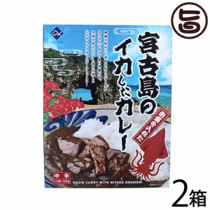 宮古島の泡盛を入れたイカしたカレー 180g×2箱 沖縄 土産 沖縄土産 たけしの家庭の医学 ターメリック クルクミン