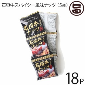 沖縄パイオニアフーズ 石垣牛スパイシー風味ナッツ 16g×5袋×18セット (5連タイプ) 沖縄 土産 定番 人気 おつまみ 個包装