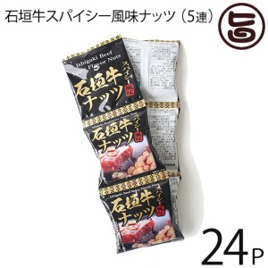 沖縄パイオニアフーズ 石垣牛スパイシー風味ナッツ 16g×5袋×24セット (5連タイプ) 沖縄 土産 定番 人気 おつまみ 個包装