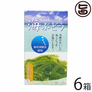 海ぶどう 沖縄県産 海洋深層水使用 シークヮーサー黒糖タレ付き 60g×6箱 お土産