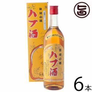 上原酒造 琉球の酒 ハブ酒 25度 720ml×6本 沖縄土産 沖縄 お土産 人気 希少 お酒