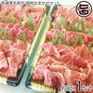 ギフト 肉の匠 テラオカ 特選黒毛和牛 焼肉おまかせセット 上ロース 上ハラミ 約1kg 5人前 目利き厳選 ご自宅用 贈り物