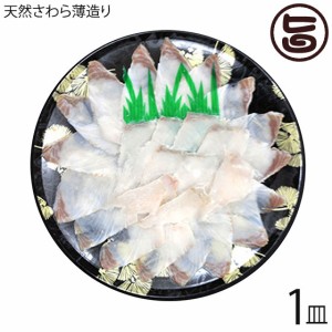 天然 さわらの薄造り 1〜2人前 90g×1皿 島根県 新鮮 人気 希少