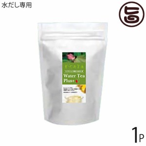 大田農水 Water Tea Plus+ ウォーターティープラス レギュラーパック 45g (3g×15P) 水出し専用 高ポリフェノール