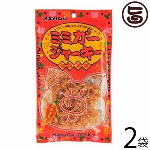 オキハム ミミガージャーキー 23g×2袋 沖縄土産 沖縄 土産 人気 定番 おつまみ 豚耳 珍味