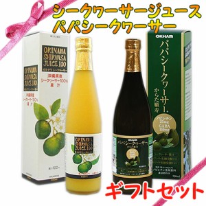 ギフト 沖縄産シークヮーサージュース 500ml 100% パパシークヮーサー