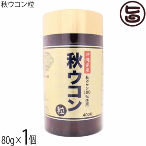 沖縄ウコン販売 秋ウコン粒 80g(200mg×400粒)×1個