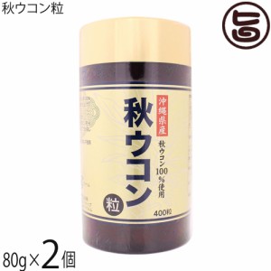 沖縄ウコン販売 秋ウコン粒 80g(200mg×400粒)×2個