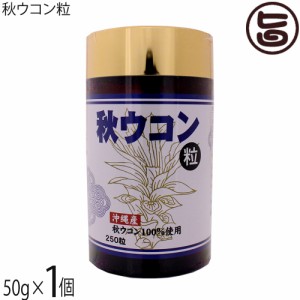 沖縄ウコン販売 秋ウコン粒 50g(200mg×250粒)×1個