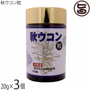 沖縄ウコン販売 秋ウコン粒 20g(200mg×100粒)×3個