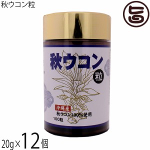 沖縄ウコン販売 秋ウコン粒 20g(200mg×100粒)×12個