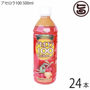 沖縄特産販売 アセロラ100 500ml×24本(１ケース) 果汁100% 沖縄土産 沖縄 土産 人気 ドリンク 健康管理