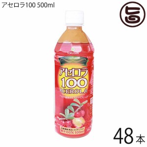 沖縄特産販売 アセロラ100 500ml×48本 果汁100% 沖縄土産 沖縄 土産 人気 ドリンク 健康管理