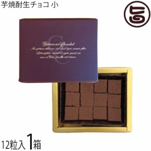 洋菓子工房 ラ・ペ 芋焼酎生チョコ 12粒×1箱