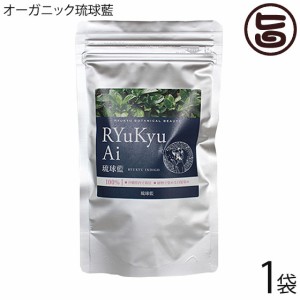 琉球藍 100g 箱無×1P 天然染毛 白髪染め オーガニック 特許取得済 国産 沖縄 安心 安全