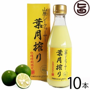 青切り シークヮーサー ジュース 原液 300ml×10本 琉球フロント 沖縄 健康飲料 皮ごと丸搾り 葉月搾り ノビレチン