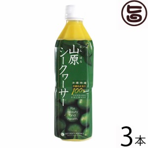 琉球フロント 山原(やんばる)シークヮーサー 500ml×3本 沖縄 人気 皮ごと丸搾り ドリンク ノビレチン