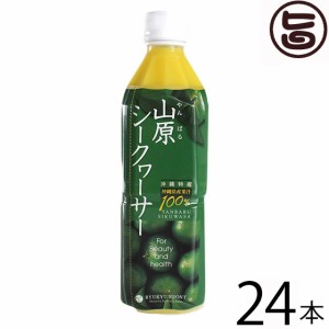 琉球フロント 山原(やんばる)シークヮーサー 500ml×24本 沖縄 人気 皮ごと丸搾り ドリンク ノビレチン