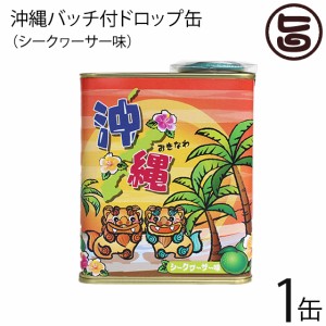 ジーエー 沖縄バッチ付ドロップ缶 シークワーサー味 85g×1缶 沖縄 土産 人気 ドロップス おまけ付き 缶 キャンディ